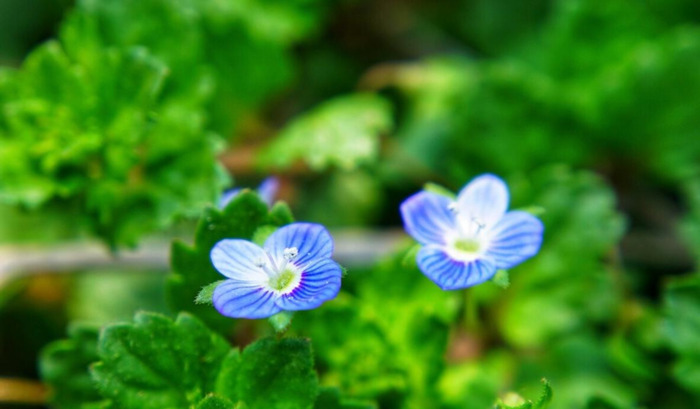 普通周记100字【普通周记200字要真实】