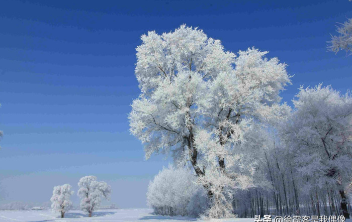 雪乡去亚布力多远【从亚布力去雪乡】