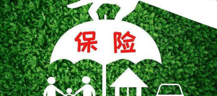 咨询退保服务【咨询退保险,还用带单子吗】