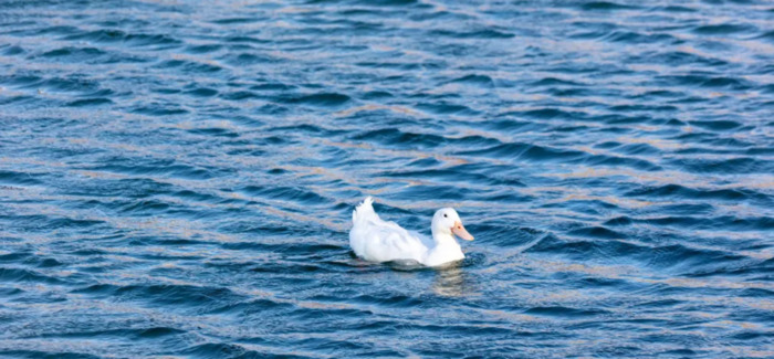 北京5月去哪玩比较好【北京五月份去哪里玩】