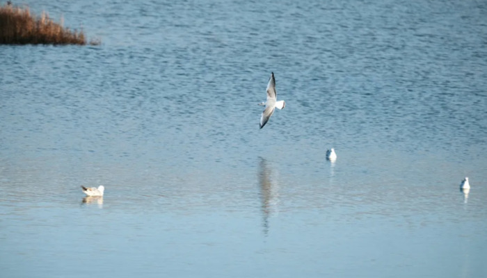 北京5月去哪玩比较好【北京五月份去哪里玩】