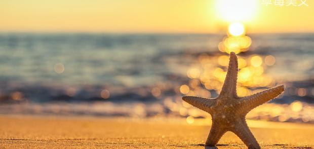 相互理解是什么意思【相互理解包容学会换位思考的说说】