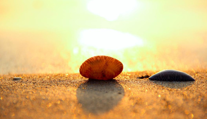 相互理解是什么意思【相互理解包容学会换位思考的说说】