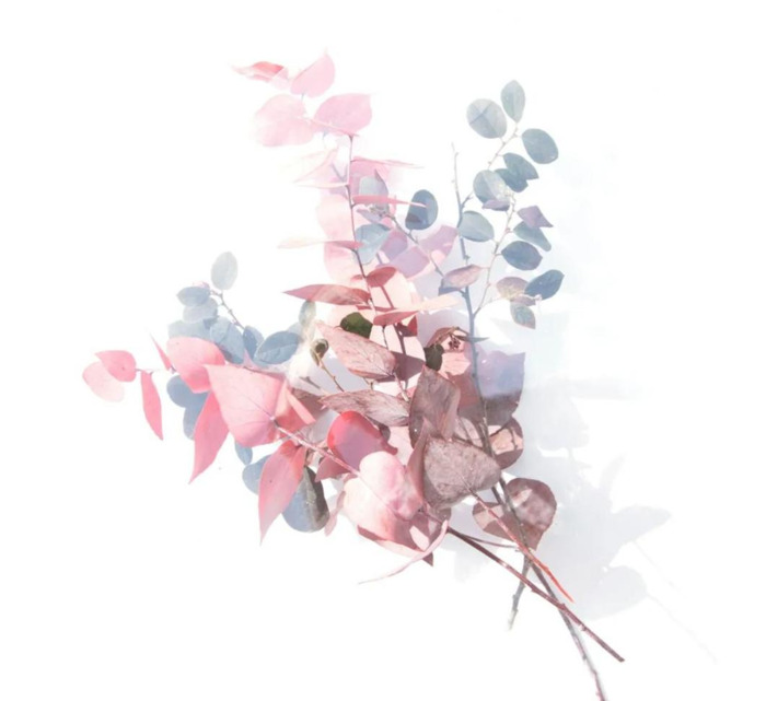 论语心得体会600字【论语心得体会1000字】