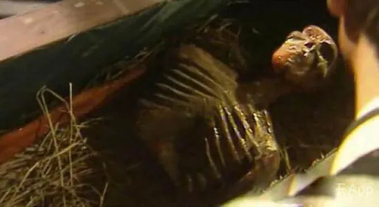 少年包青天的故事【包青天的故事有哪些】