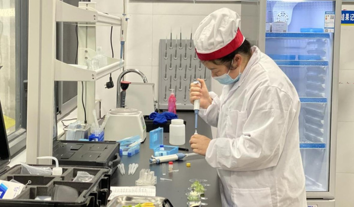 幼儿园美食文案小红书【幼儿园美食文案朋友圈高质量】