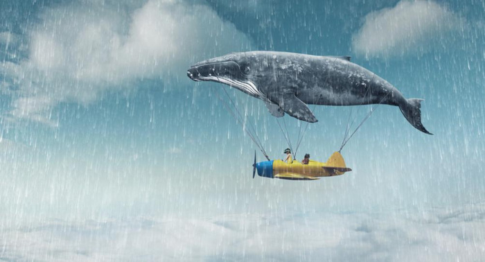 关于tiamo的网名【与tiamo一样的情侣网名】