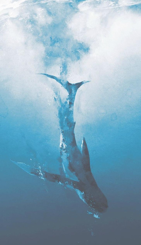 关于tiamo的网名【与tiamo一样的情侣网名】