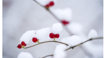 冬至伤感说说【关于冬至的经典语录】