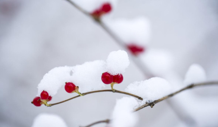 冬至伤感说说【关于冬至的经典语录】