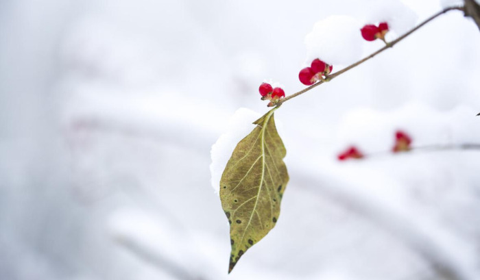 冬至伤感说说【关于冬至的经典语录】