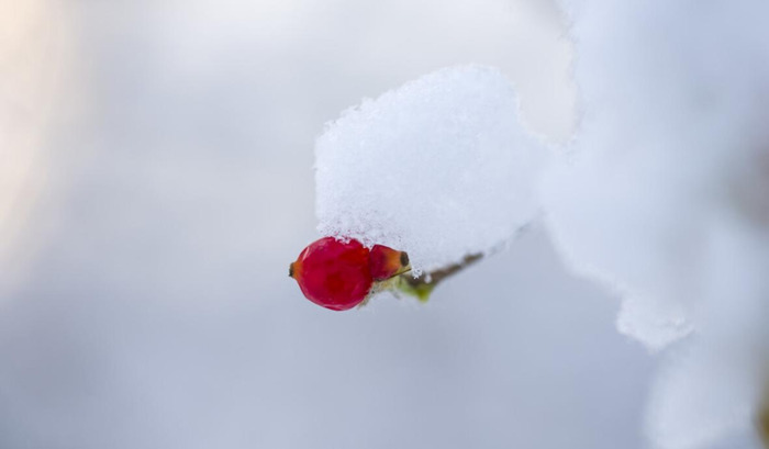 冬至伤感说说【关于冬至的经典语录】