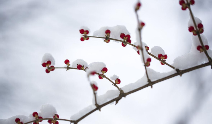 冬至伤感说说【关于冬至的经典语录】