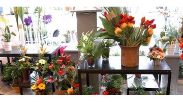 大学校园里的空白商机2021【大学校园里的空白商机鲜花】