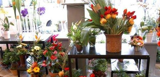 大学校园里的空白商机2021【大学校园里的空白商机鲜花】