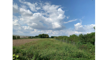 我的家乡农村风景图片【我的家乡农村风景作文】