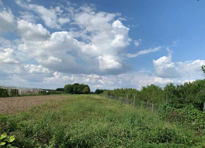 我的家乡农村风景图片【我的家乡农村风景作文】
