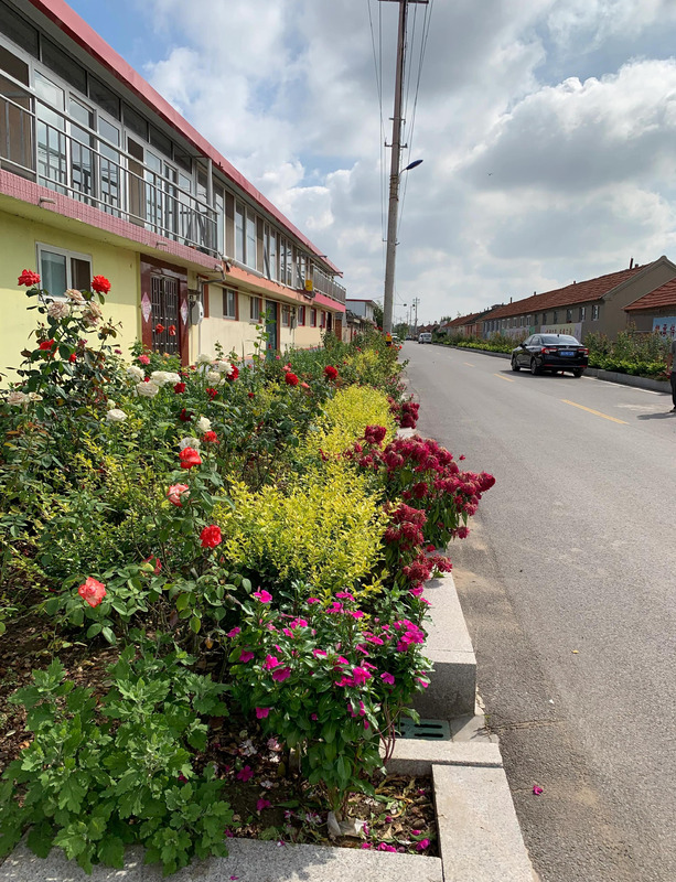 我的家乡农村风景图片【我的家乡农村风景作文】