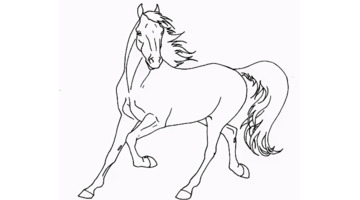 国画马作品图片【国画马的画法】