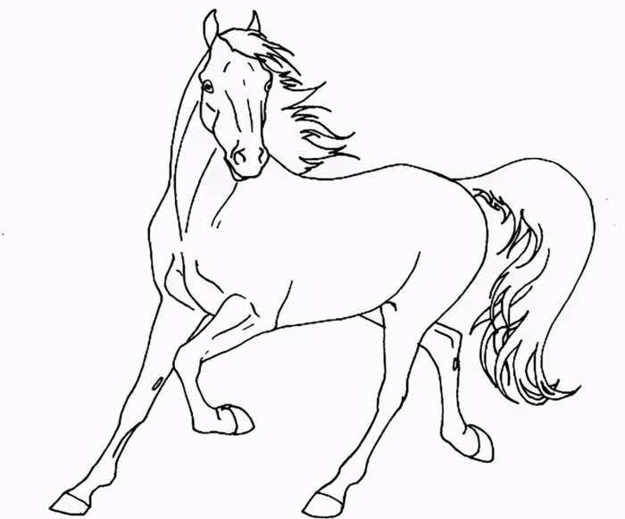 国画马作品图片【国画马的画法】