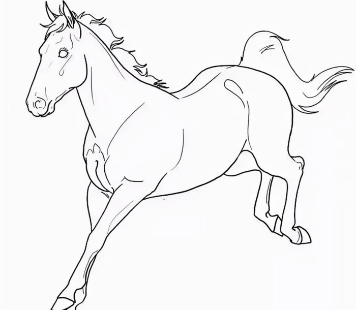 国画马作品图片【国画马的画法】