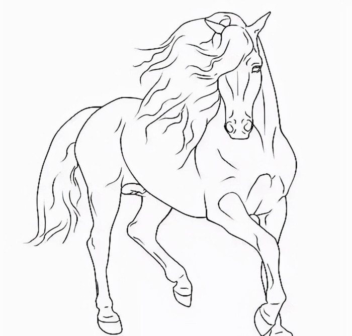 国画马作品图片【国画马的画法】