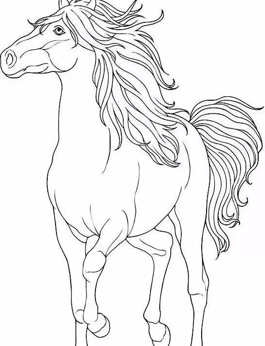 国画马作品图片【国画马的画法】