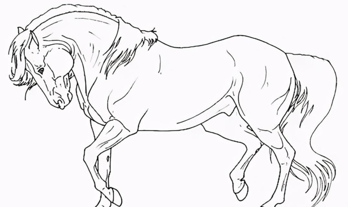 国画马作品图片【国画马的画法】