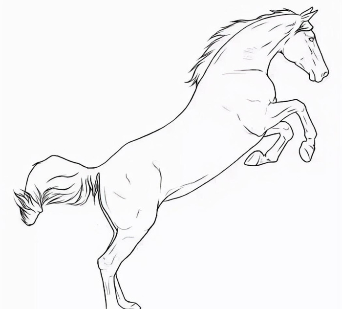 国画马作品图片【国画马的画法】