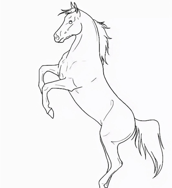 国画马作品图片【国画马的画法】