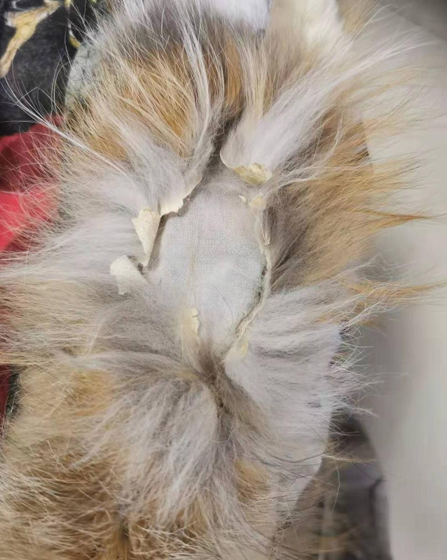 淘宝售后15天规定【淘宝售后时间超过15天怎么办】