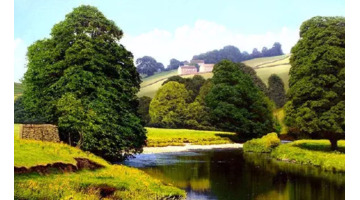 没有期望就没有失望的语录的英语【没有期望就没有失望的句子】