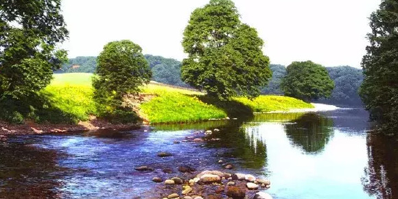 没有期望就没有失望的语录的英语【没有期望就没有失望的句子】