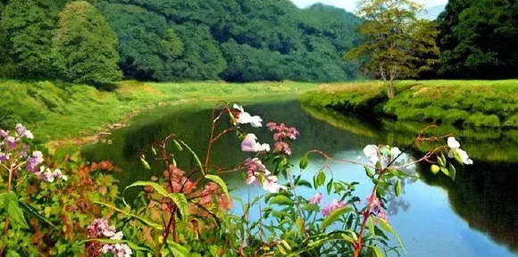 没有期望就没有失望的语录的英语【没有期望就没有失望的句子】