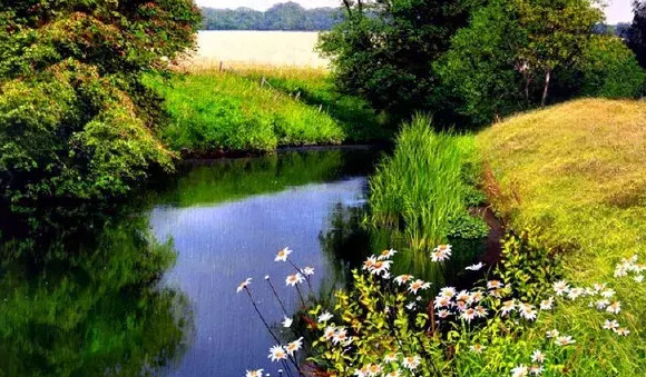 没有期望就没有失望的语录的英语【没有期望就没有失望的句子】