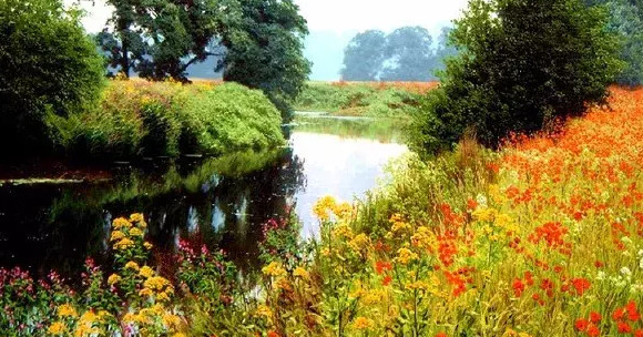 没有期望就没有失望的语录的英语【没有期望就没有失望的句子】