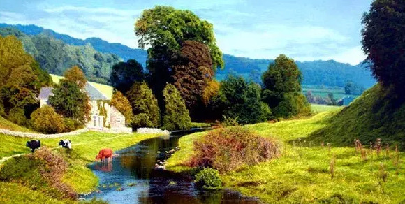 没有期望就没有失望的语录的英语【没有期望就没有失望的句子】