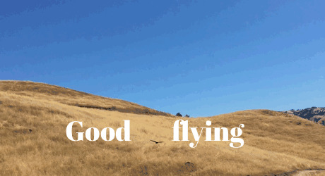 live图怎么发给别人【live图怎么加文字】