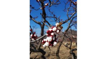 山东自驾旅游攻略路线推荐【山东自驾游一日游攻略】