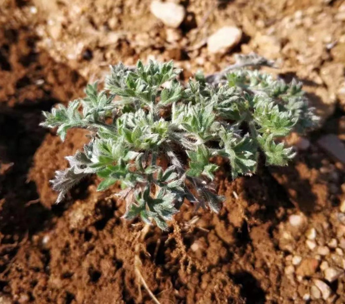 山东自驾旅游攻略路线推荐【山东自驾游一日游攻略】