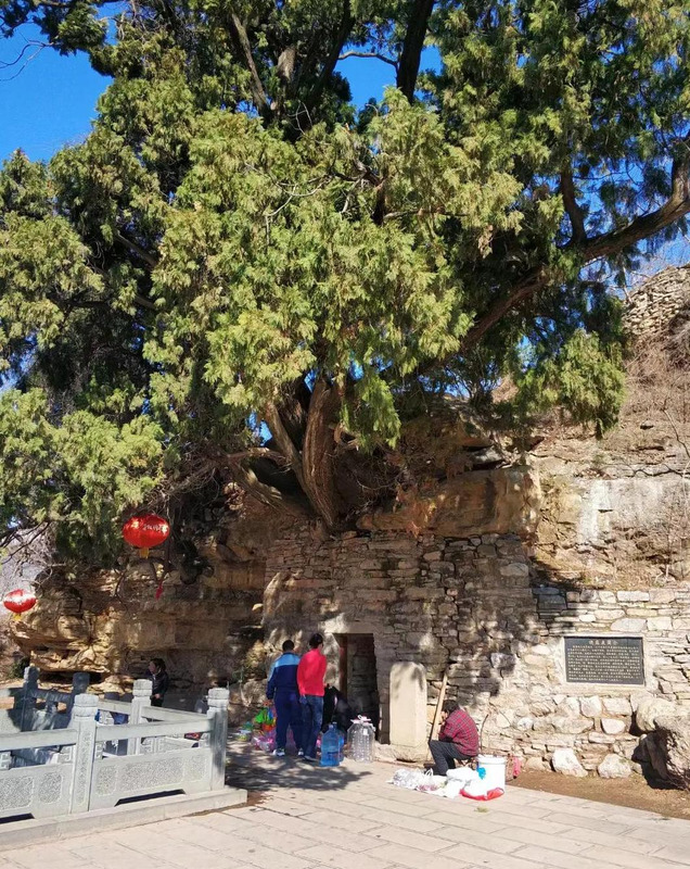 山东自驾旅游攻略路线推荐【山东自驾游一日游攻略】