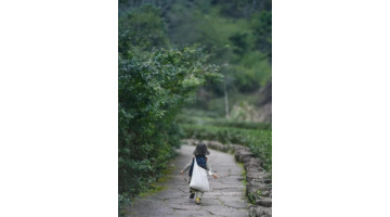 三十岁的生日感悟的句子【致自己三十岁生日感慨】