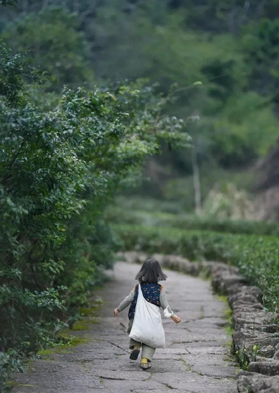 三十岁的生日感悟的句子【致自己三十岁生日感慨】