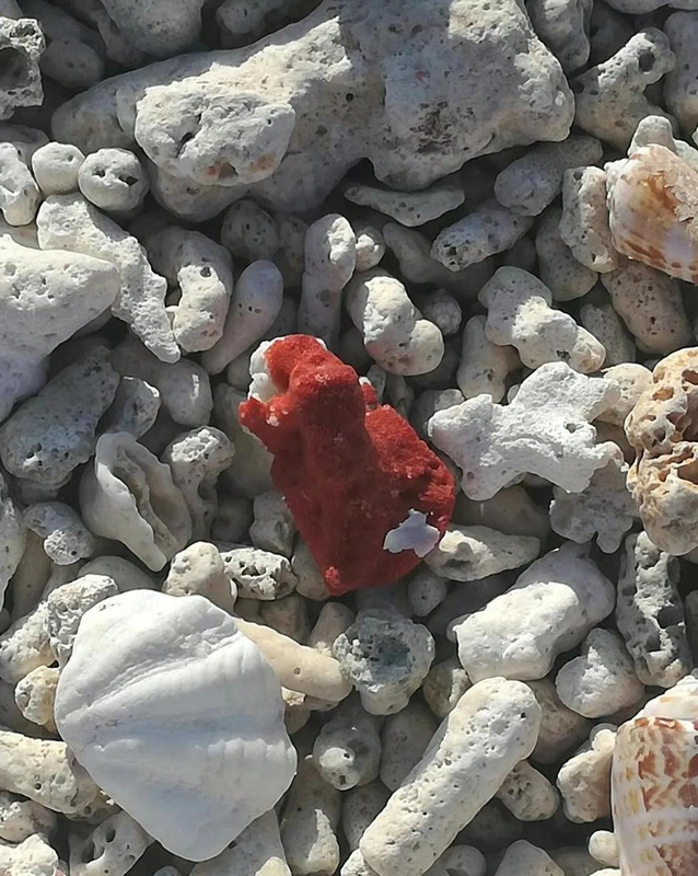 小导游介绍西沙群岛两百字【小导游介绍西沙群岛视频】