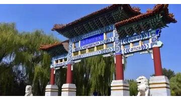 忘不了的情味300字短文【忘不了的情味作文】