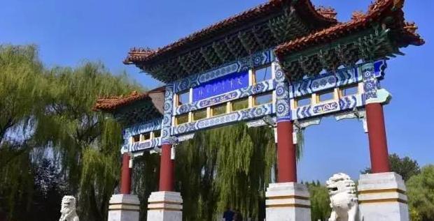 忘不了的情味300字短文【忘不了的情味作文】