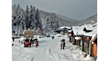 哈尔滨到雪乡有多远【哈尔滨至雪乡多远】