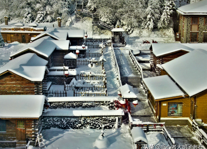 哈尔滨到雪乡有多远【哈尔滨至雪乡多远】