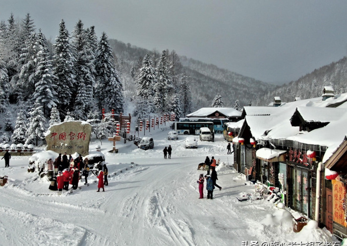 哈尔滨到雪乡有多远【哈尔滨至雪乡多远】