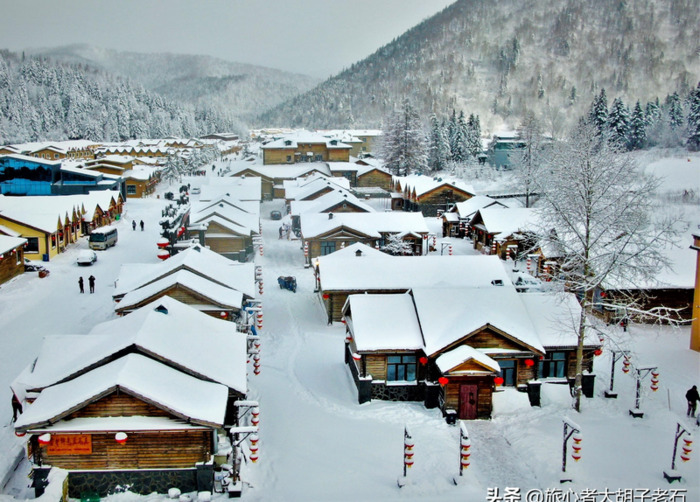 哈尔滨到雪乡有多远【哈尔滨至雪乡多远】
